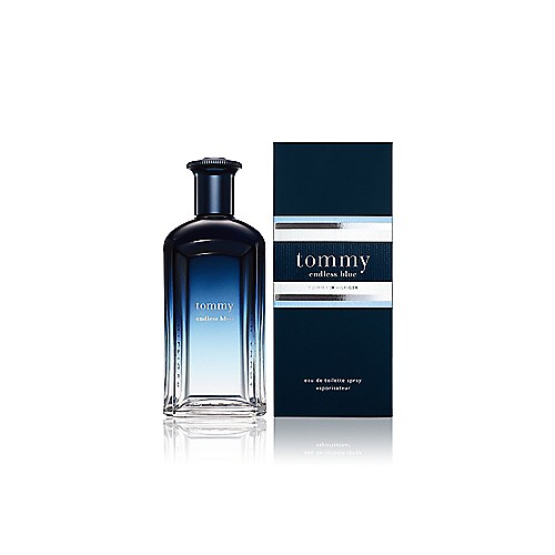 Tommy hilfiger endlessly blue on sale man